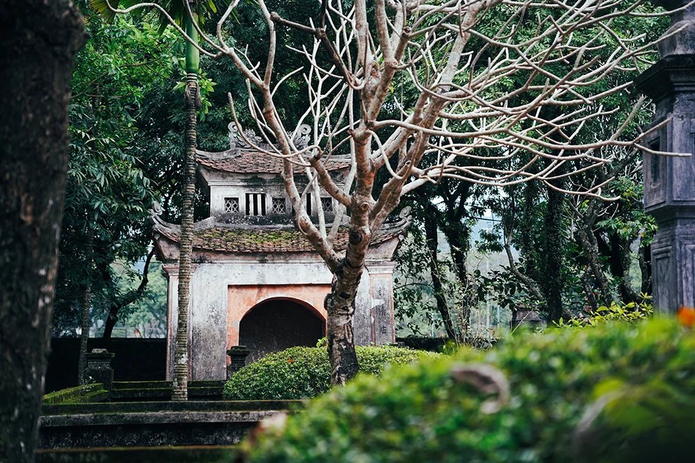 Experience Vietnam in Style: The SJourney Luxury Train Journey