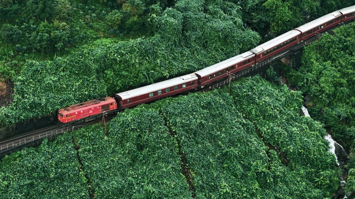 Exploring the Cu Chi Tunnels in Saigon: A Luxury Traveller’s Guide (2026)