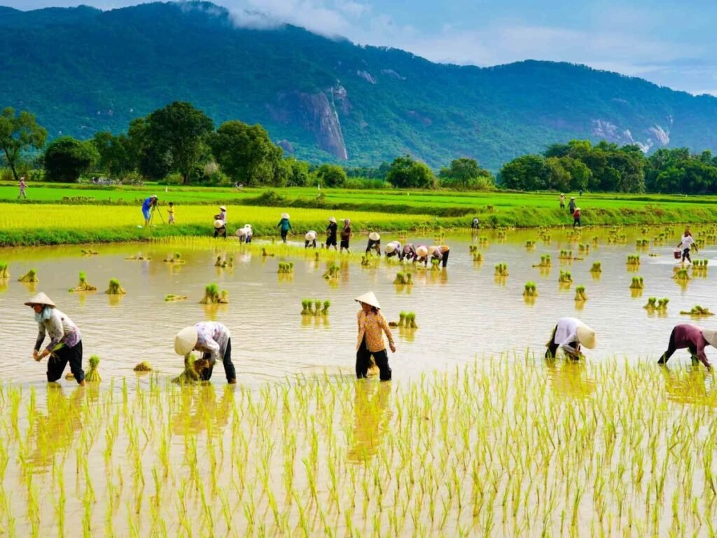 SJourney Vietnam Train Review: Inside Vietnam’s Most Luxurious Train Experience