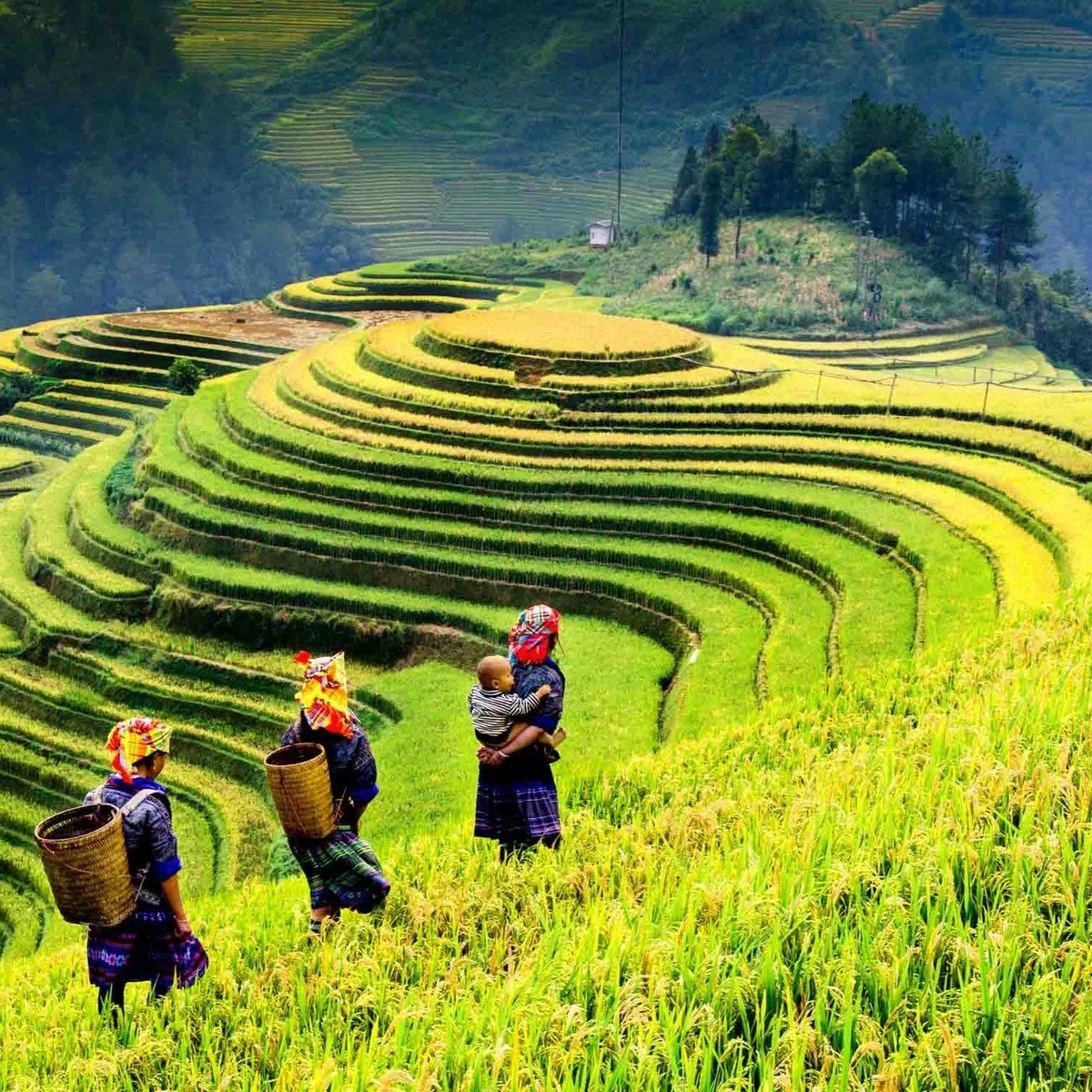 Vietnam Luxury Rail Travel: Where Comfort Meets Culture